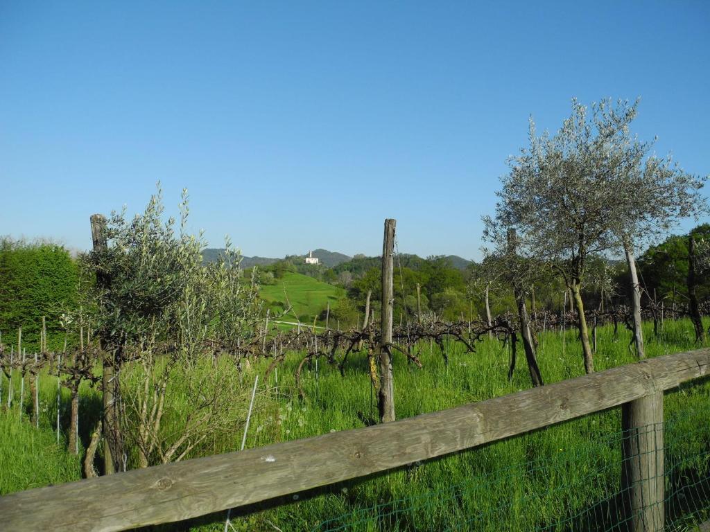 Agriturismo Cornolere Villa Castelcucco Exterior foto
