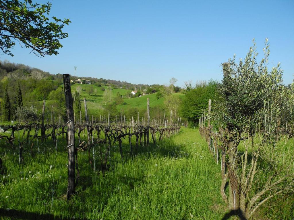 Agriturismo Cornolere Villa Castelcucco Exterior foto